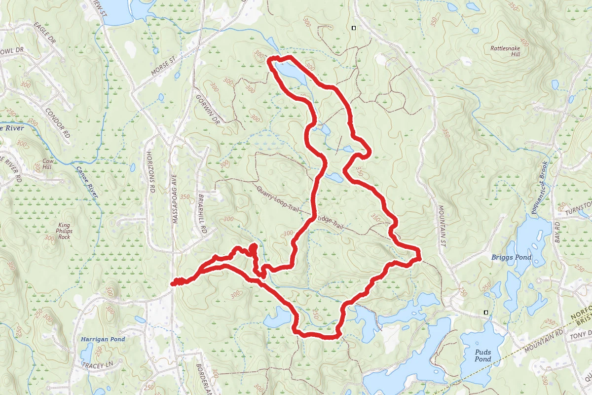 Bay Circuit Trail to Friends Trail Loop