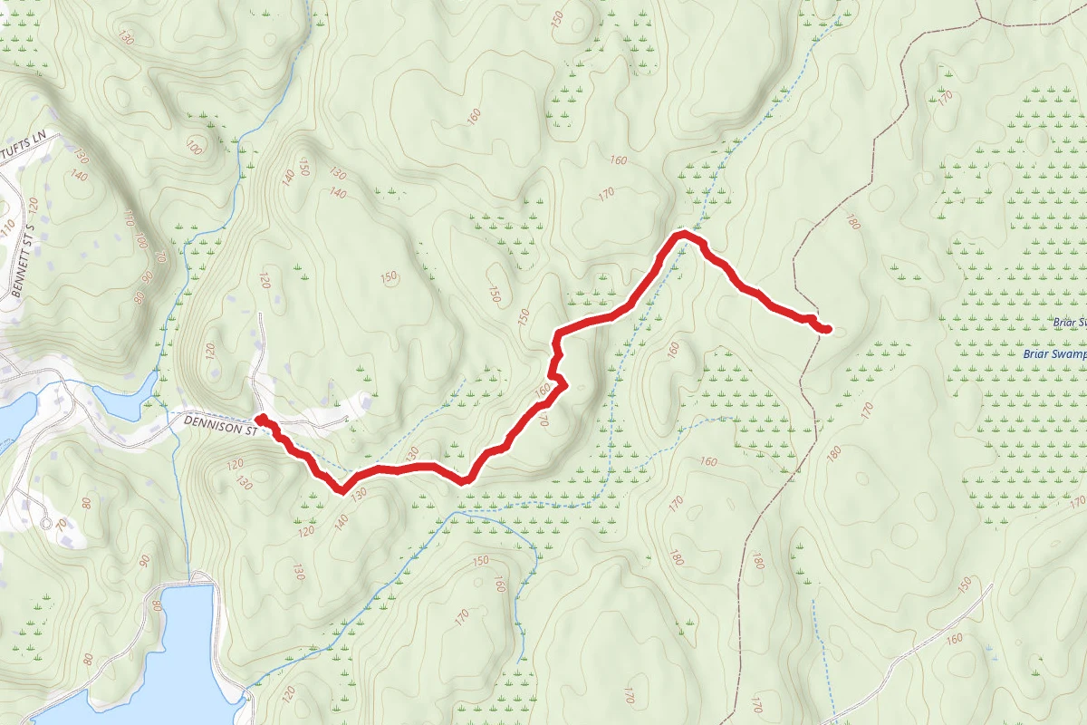 Whales Jaw Trail