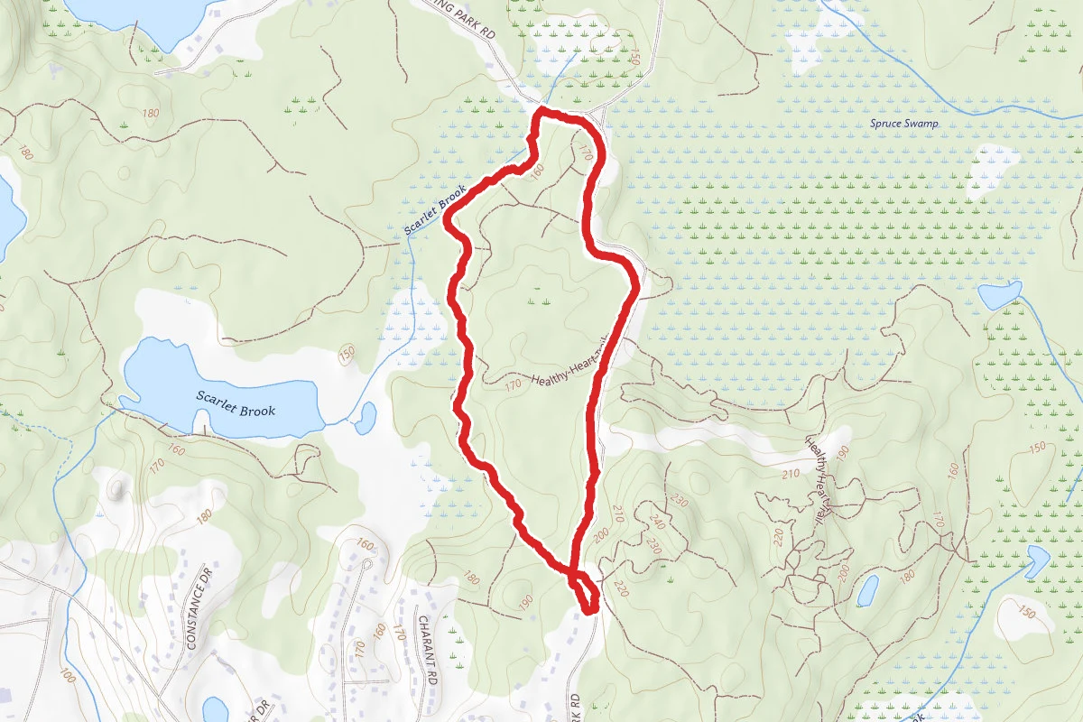 Americorps Trail Loop