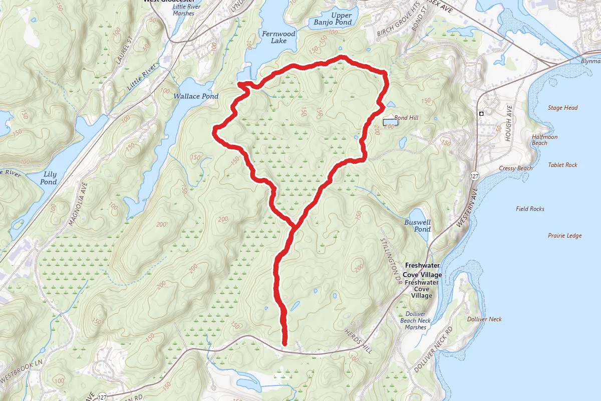 Fernwood Lake (Blue Trail) and Old Salem Trail Loop