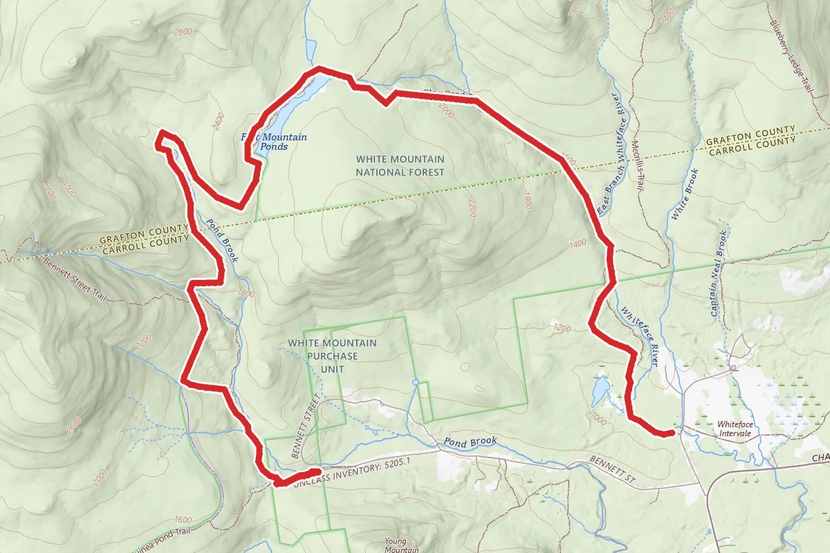 Flat Mountain Pond Trail