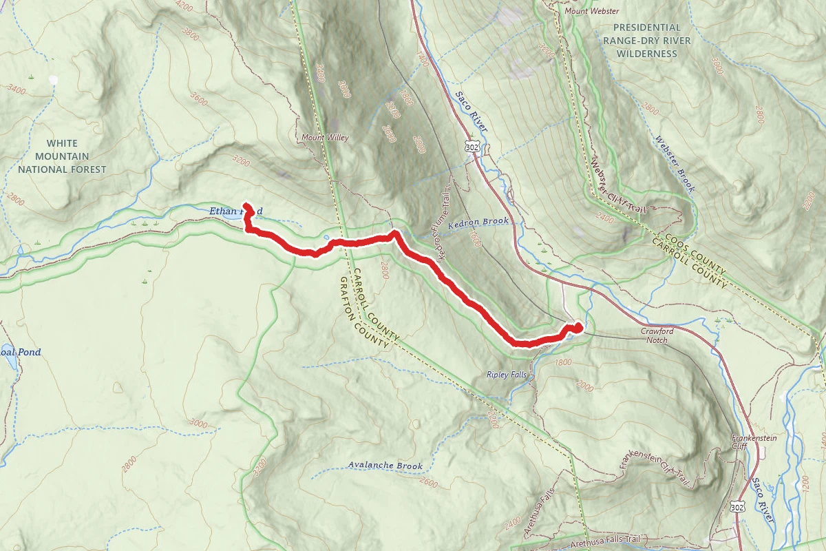 Ethan Pond Trail