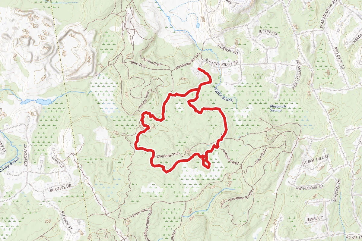 Betty Mack Trail