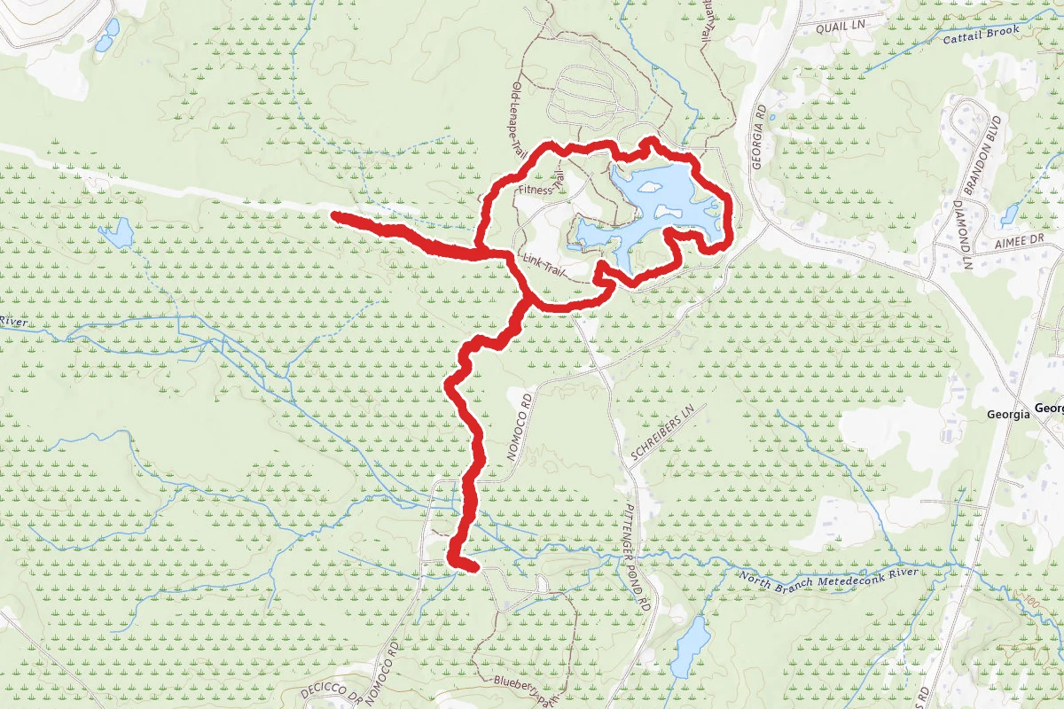 Turkey Swamp Park Loop