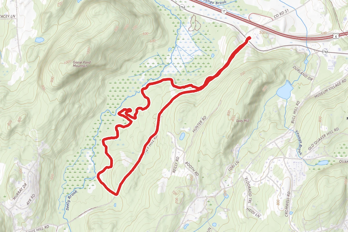 Goose Pond Mountain MTB Trail