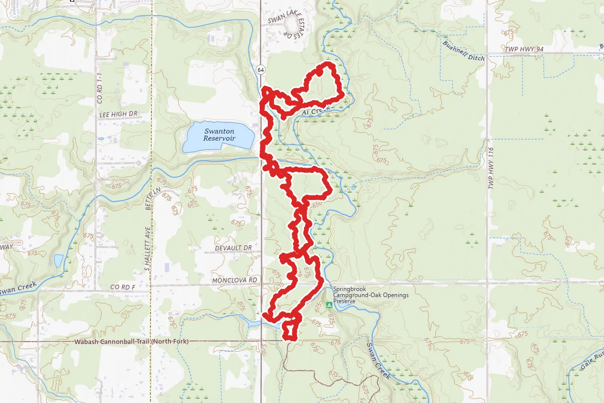 Hognose and Blazing Star Loop