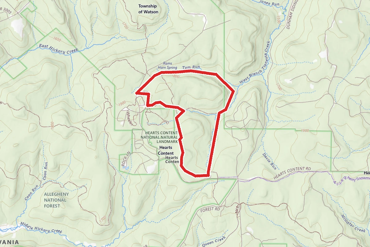 Tom's Run and Ironwood Loops Trails