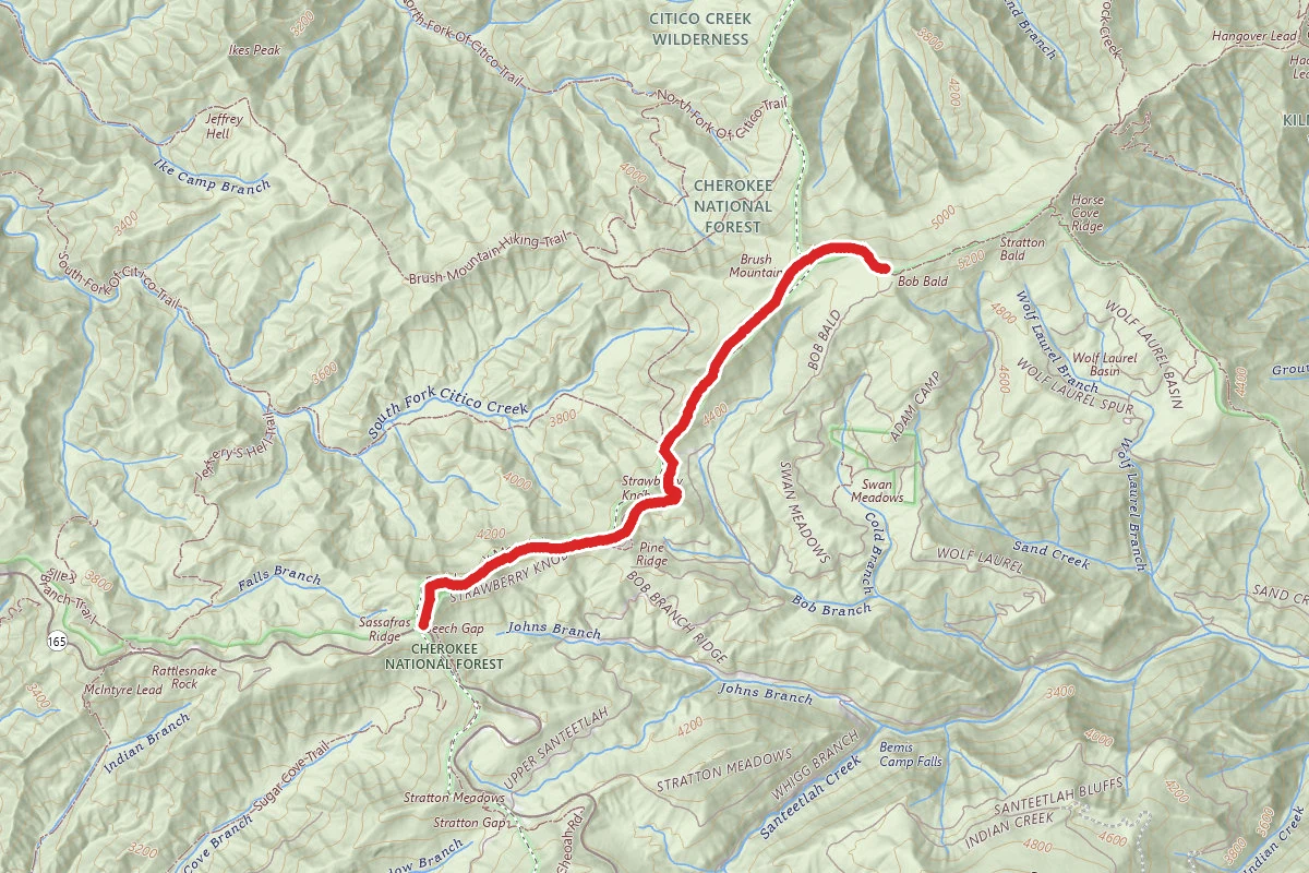 Beech Gap to Bob Bald Trail