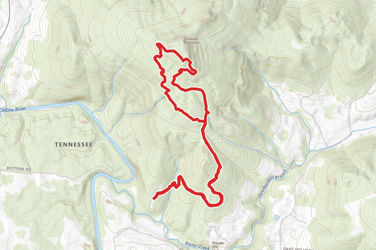 Cardwell Mountain via Trail of Tears