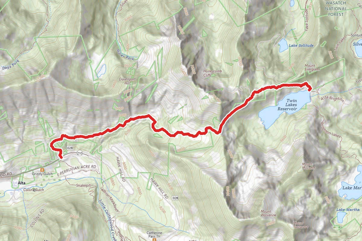 Twin Lakes Pass Trail via Davenport Hill