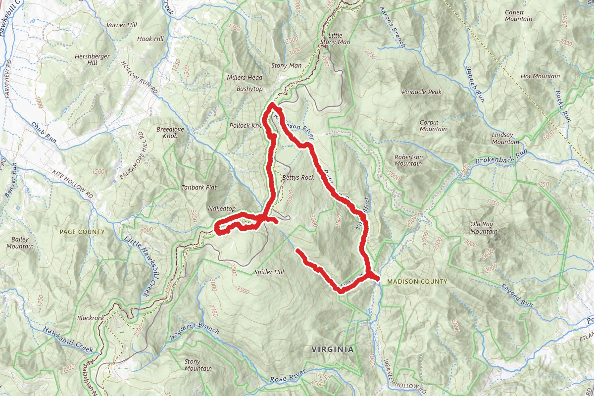 Cedar Run Trail to Hawksbill to White Oak Trail Loop