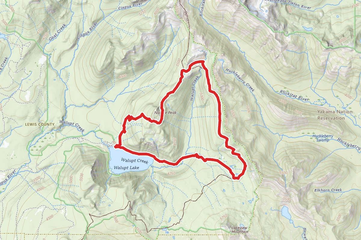 Cispus Pass Loop Trail