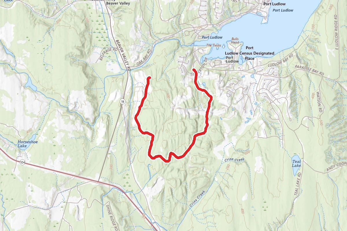 Timberton Drive Trail