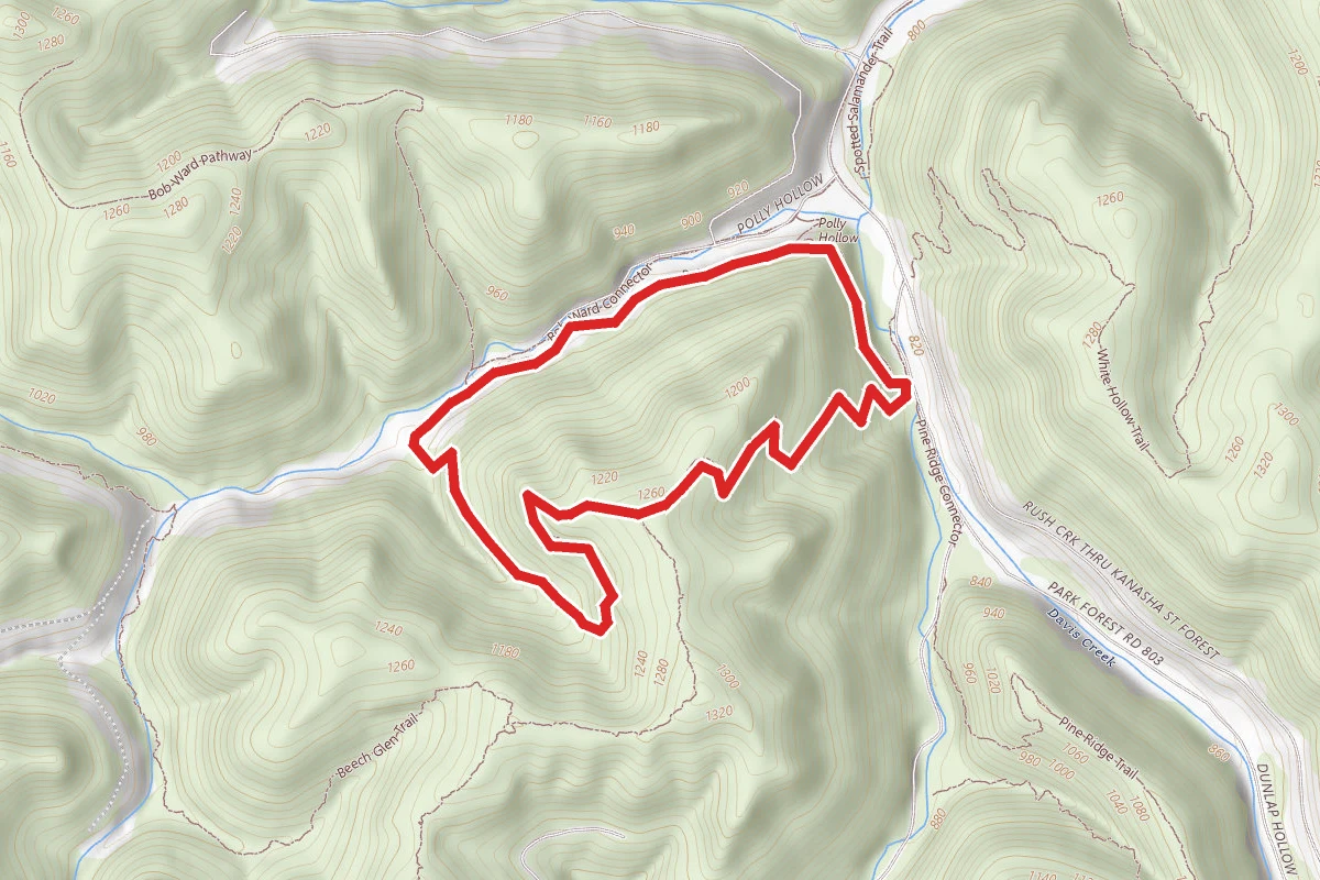 Polly Trail