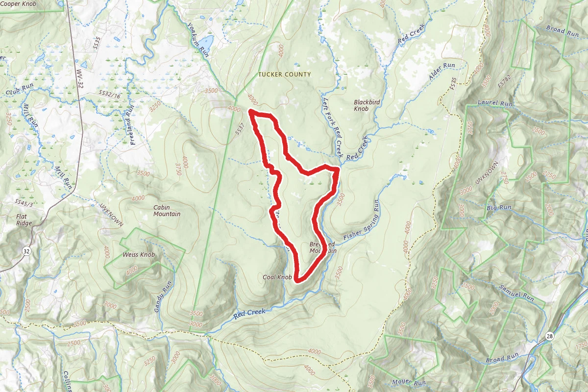 Breathed Mountain Trail to Big Stonecoal Trail Loop