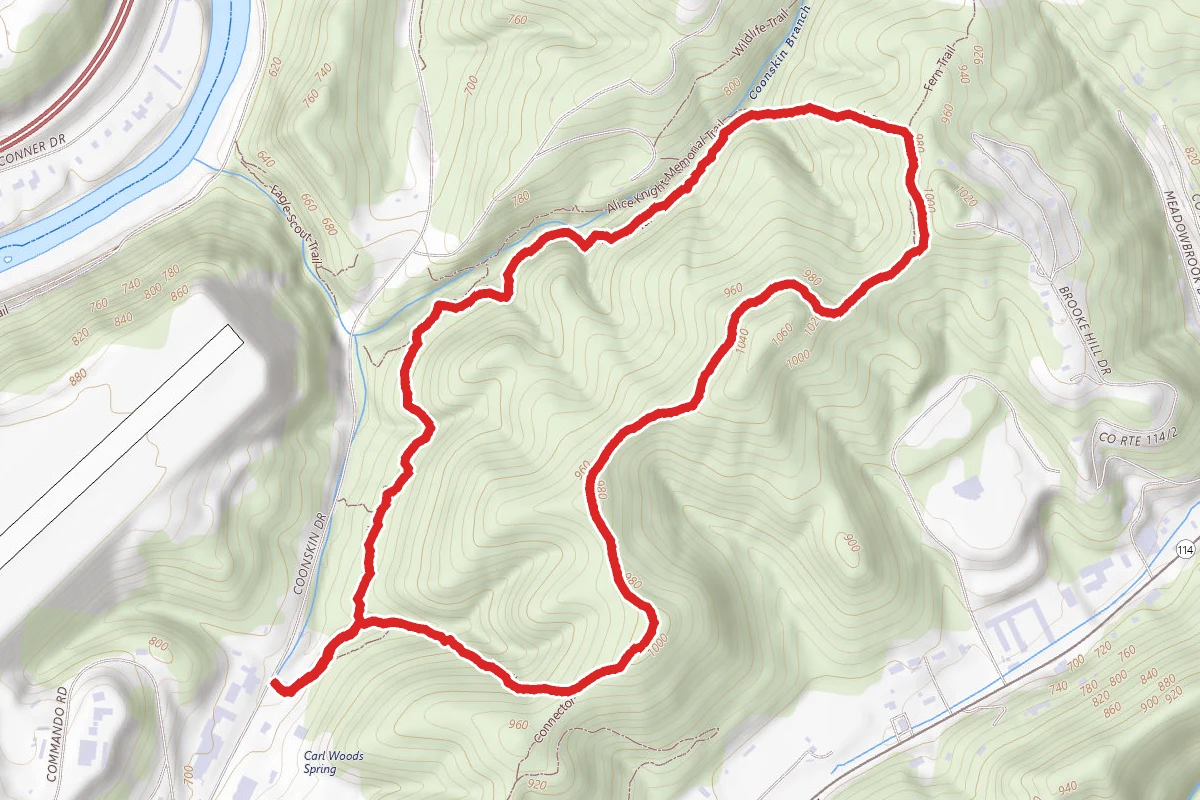 Cougar and Alice Knight Loop
