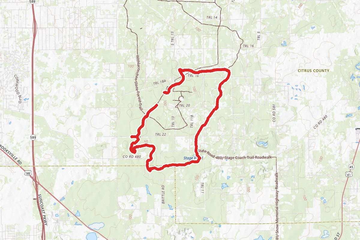 Citrus Tract Loop D