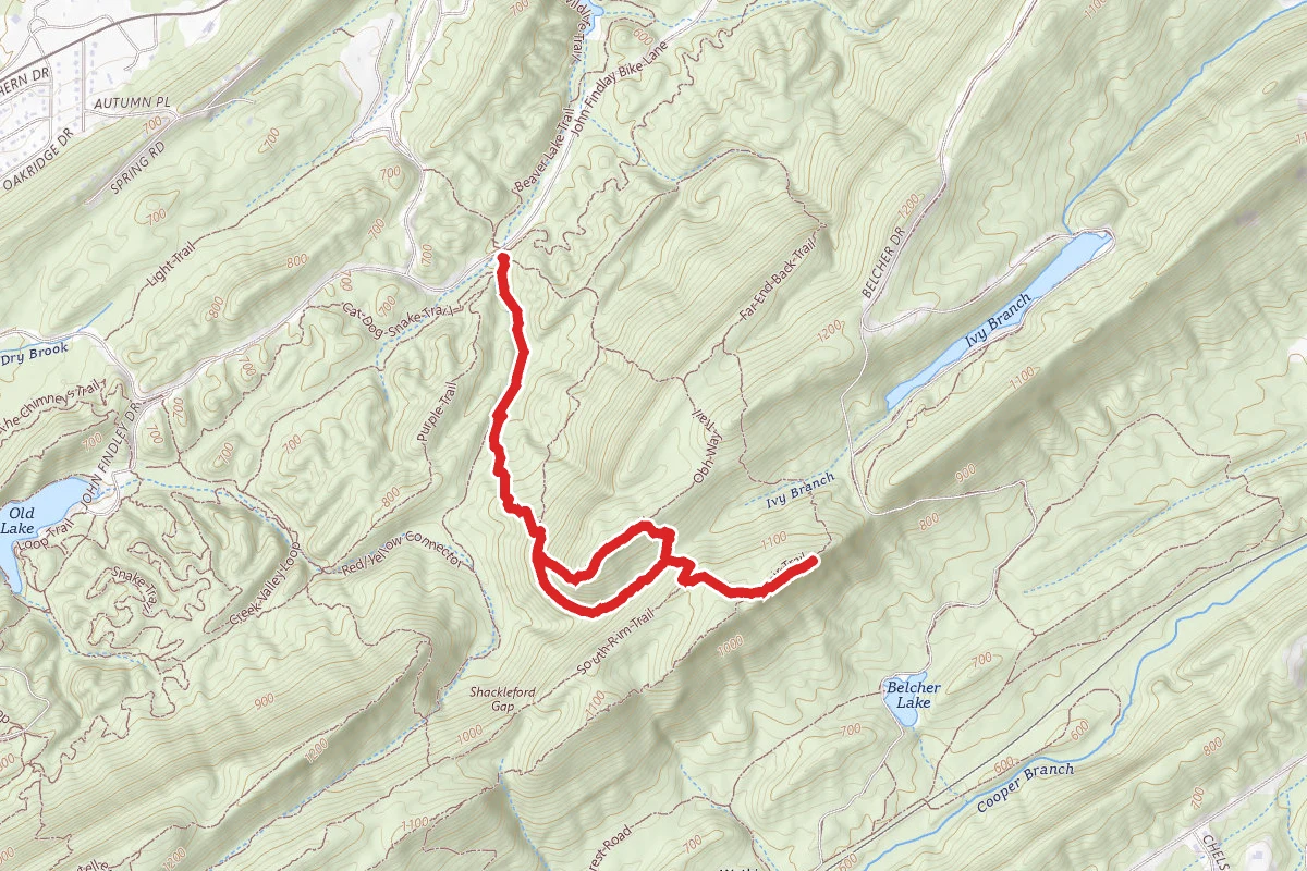 Eagle's Nest to King's Chair Circuit