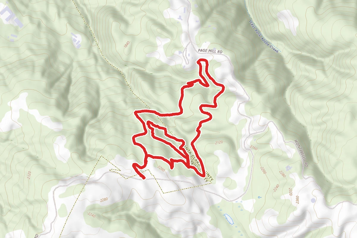 Los Trancos Loop Trail