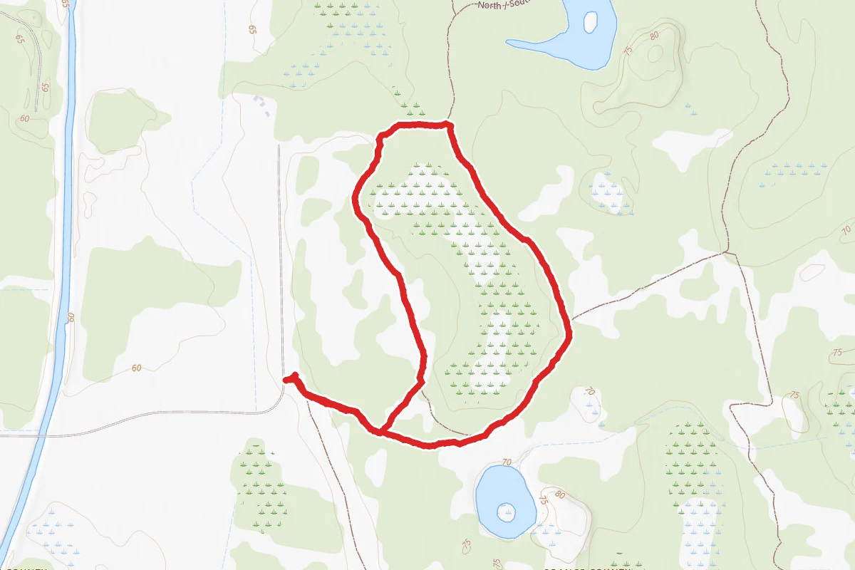 Split Oak Swamp Trail