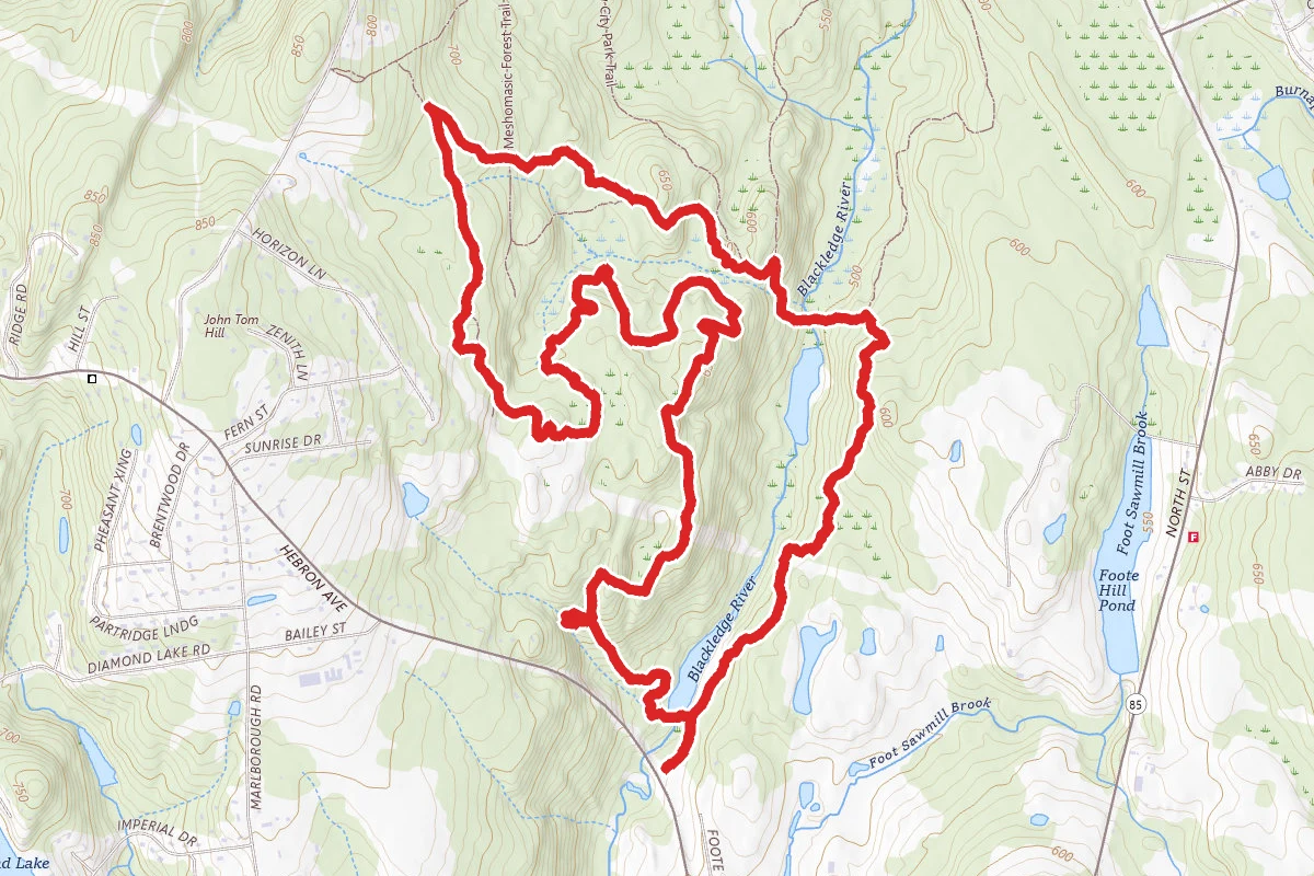 Blackledge River, Red Blazes, and Blackledge Falls Loop