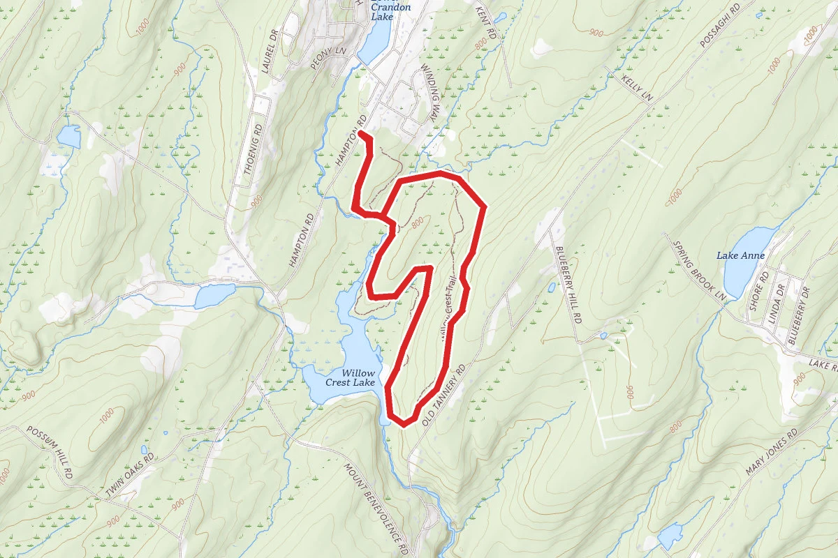 Willow Crest Loop Trail