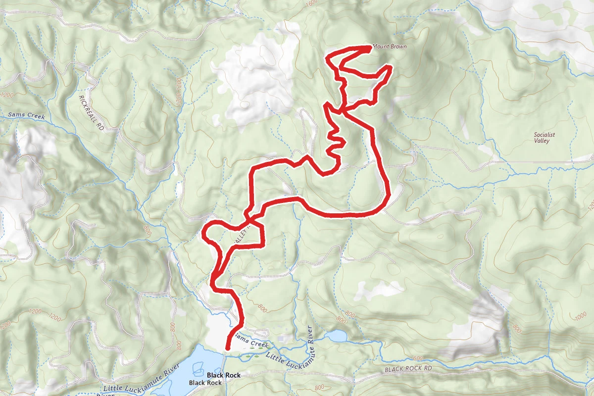 Black Rock Mount Brown Loop