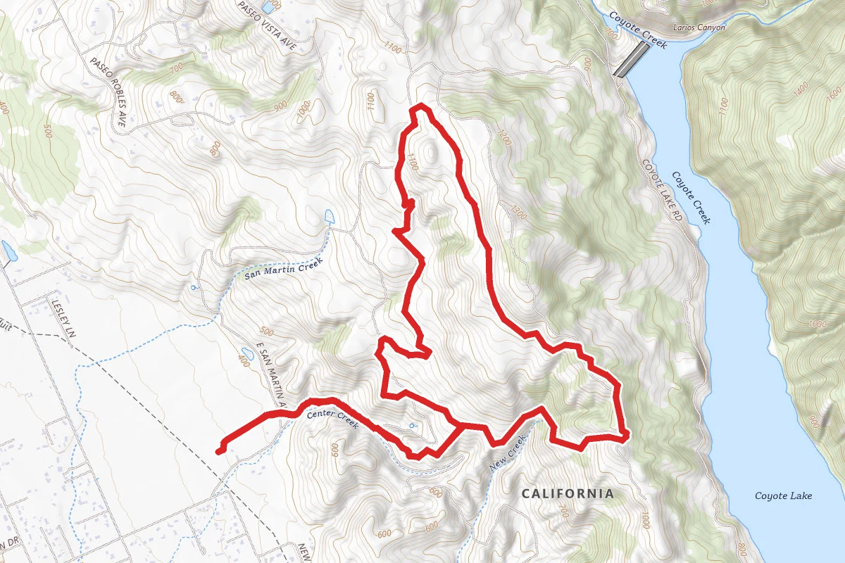 Townsprings, Harvey Bear, Coyote Ridge and Willow Springs Loop