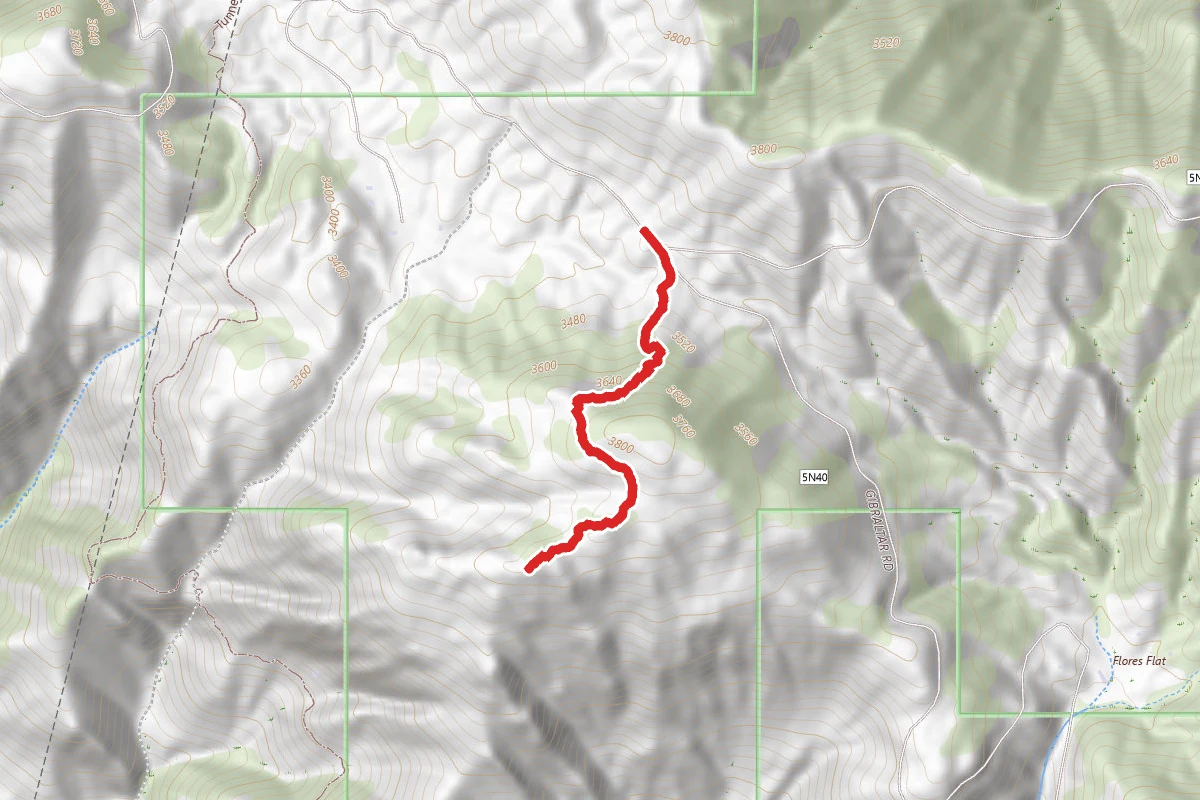 Rocky Pine Ridge Trail
