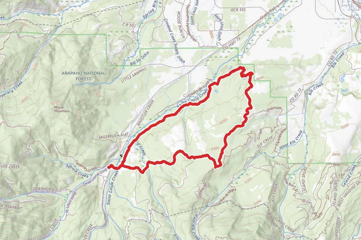 Zoom Chainsaw Flum Trail Loop
