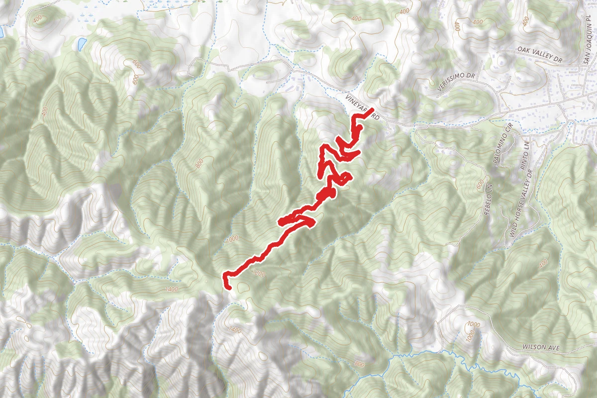 Big Trees Trail