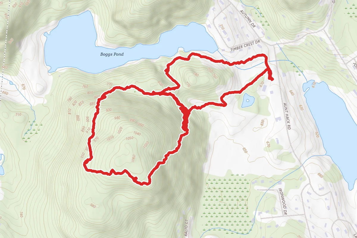 Boggs Pond Red Trail Loop