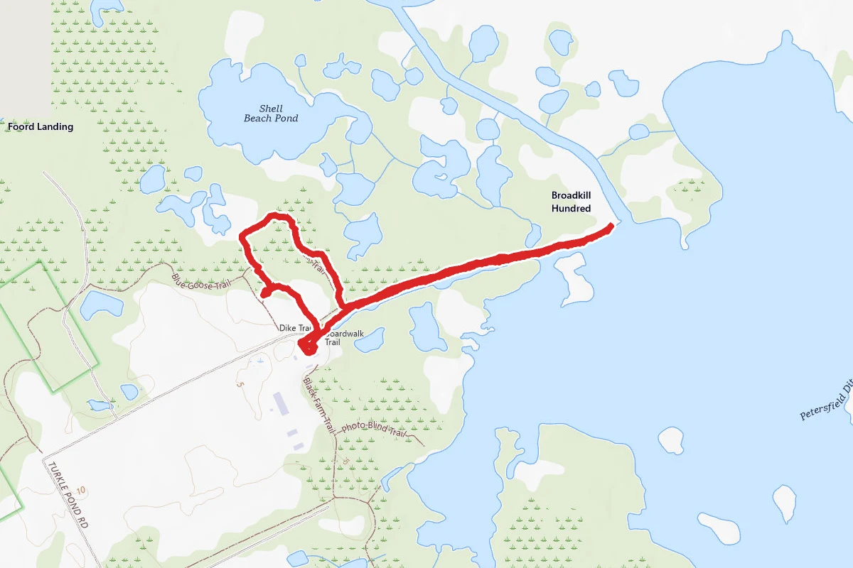 Prime Hook National Wildlife Refuge Loop