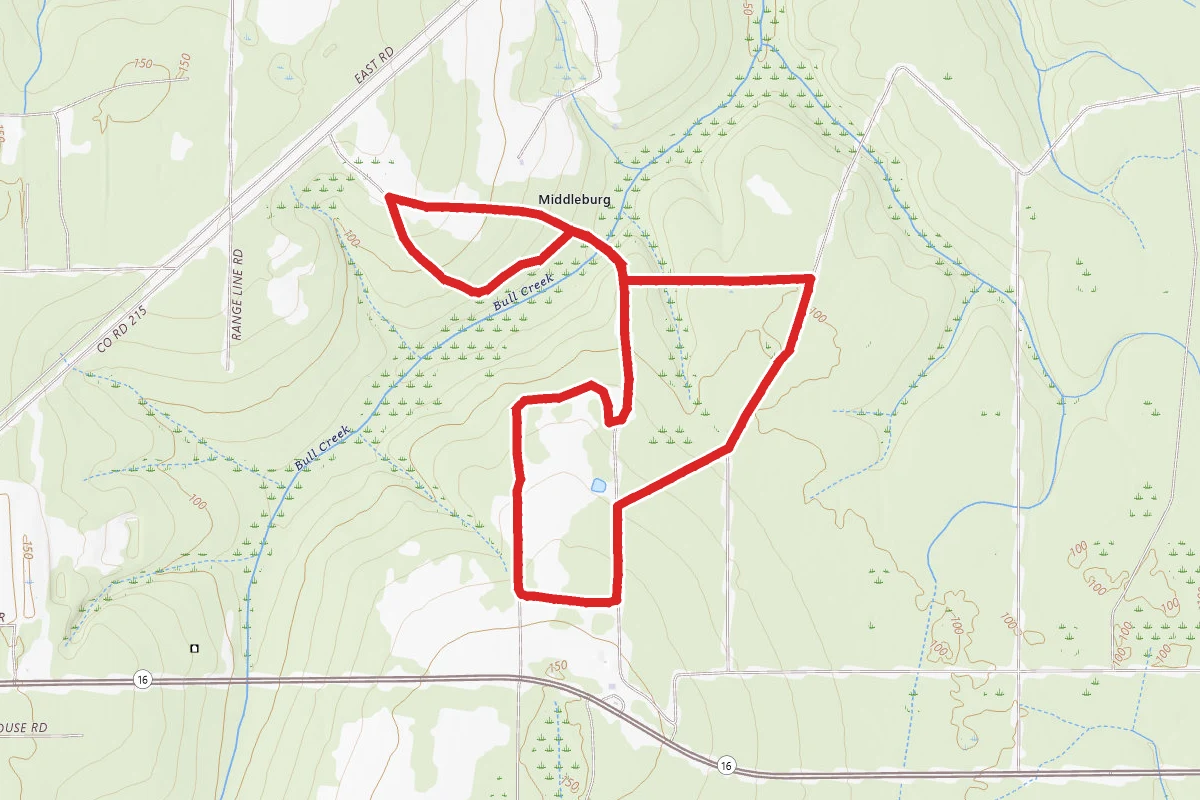 Belmore State Forest Loop Trail