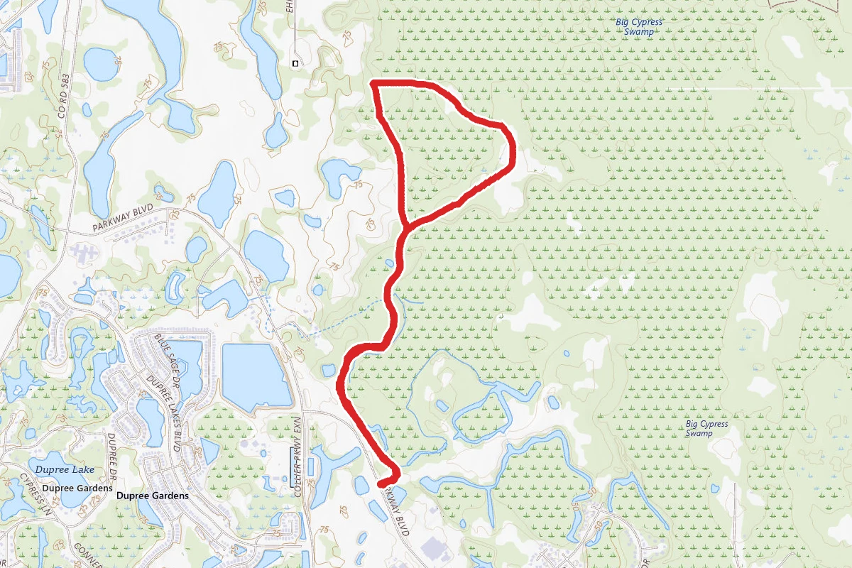 Cypress Creek Preserve Loop from Parkway Boulevard