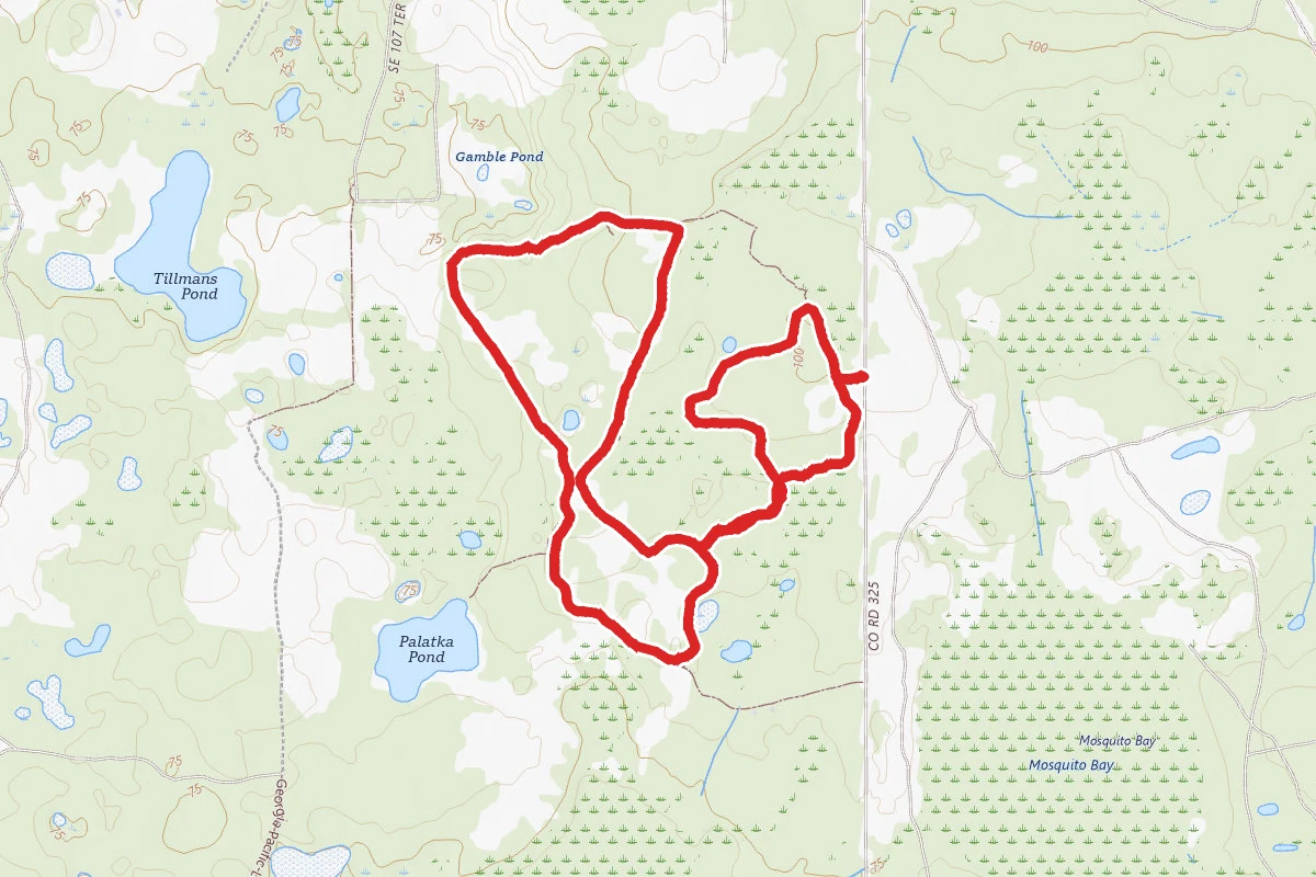 Longleaf Flatwoods White, Yellow, Red Loop