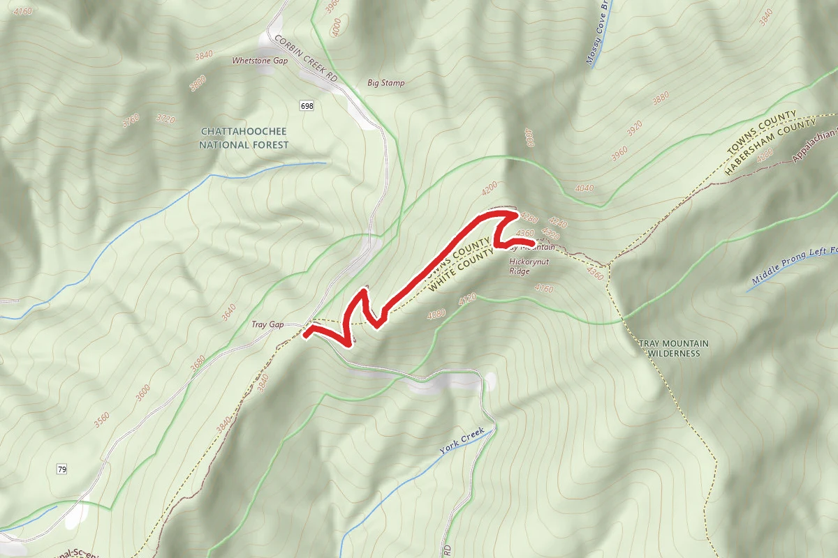 Tray Mountain from Tray Gap via Appalachian Trail