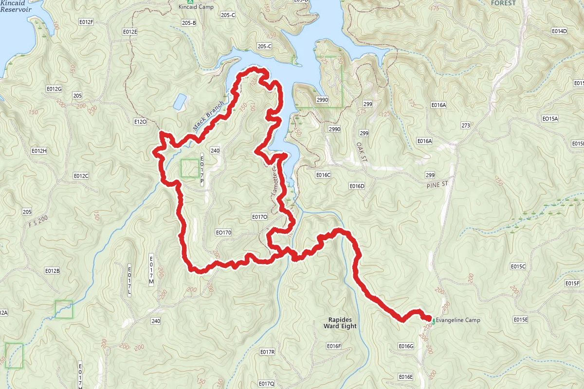 Wild Azalea to Lamotte Creek Loop