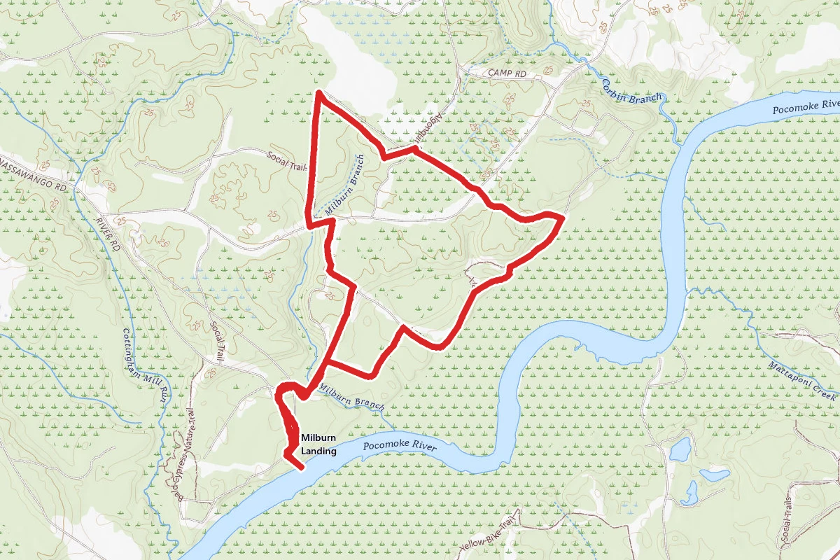 Milburn Cypress Nature Trail