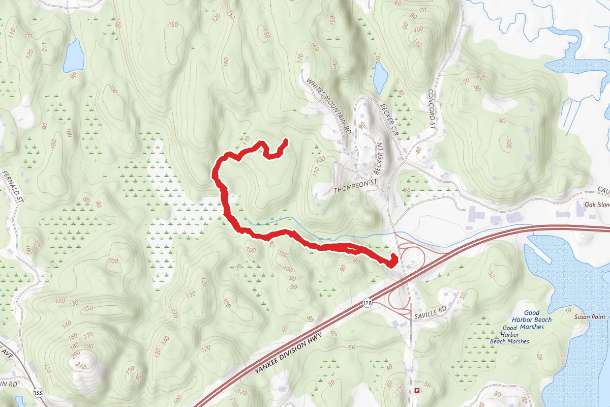 Red Maple Swamp Trail