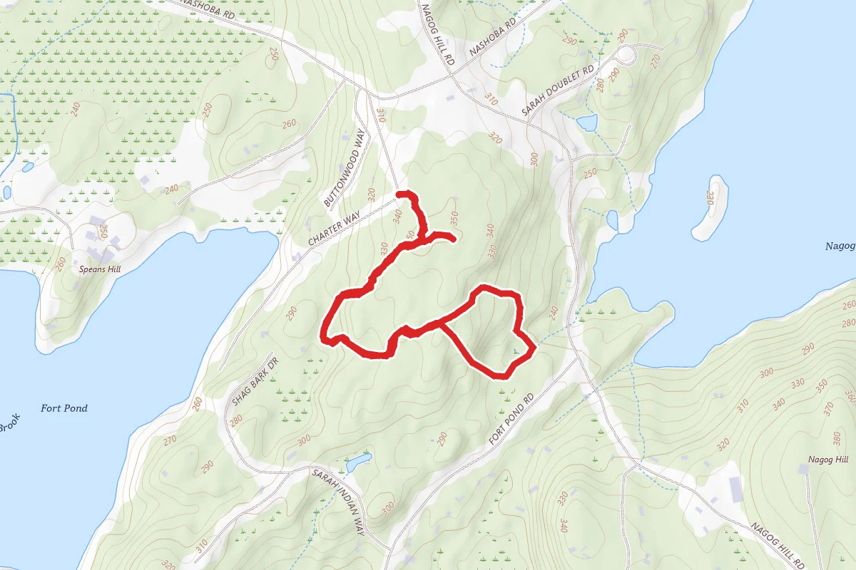 Sarah Doublet Forest Loop