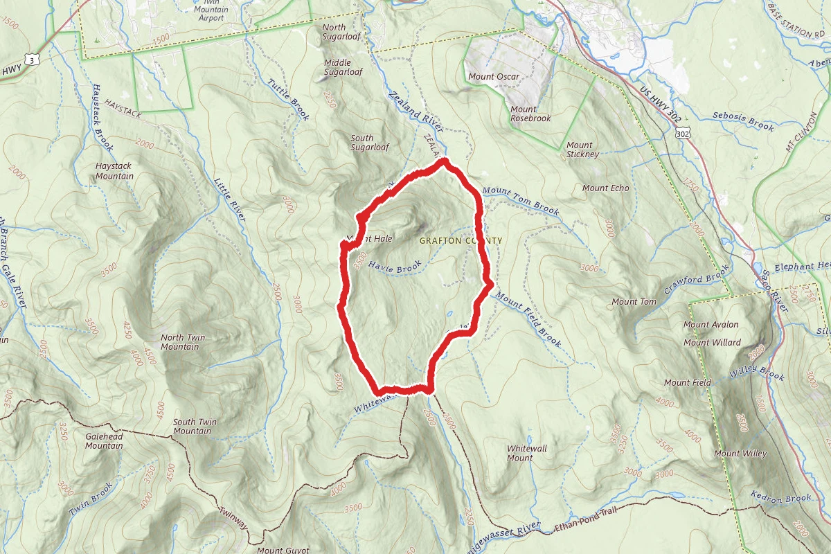 Hale Brook Trail and Zealand Trail Loop