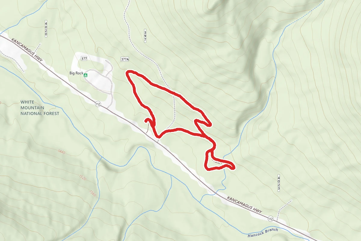 Forest Discovery Trail