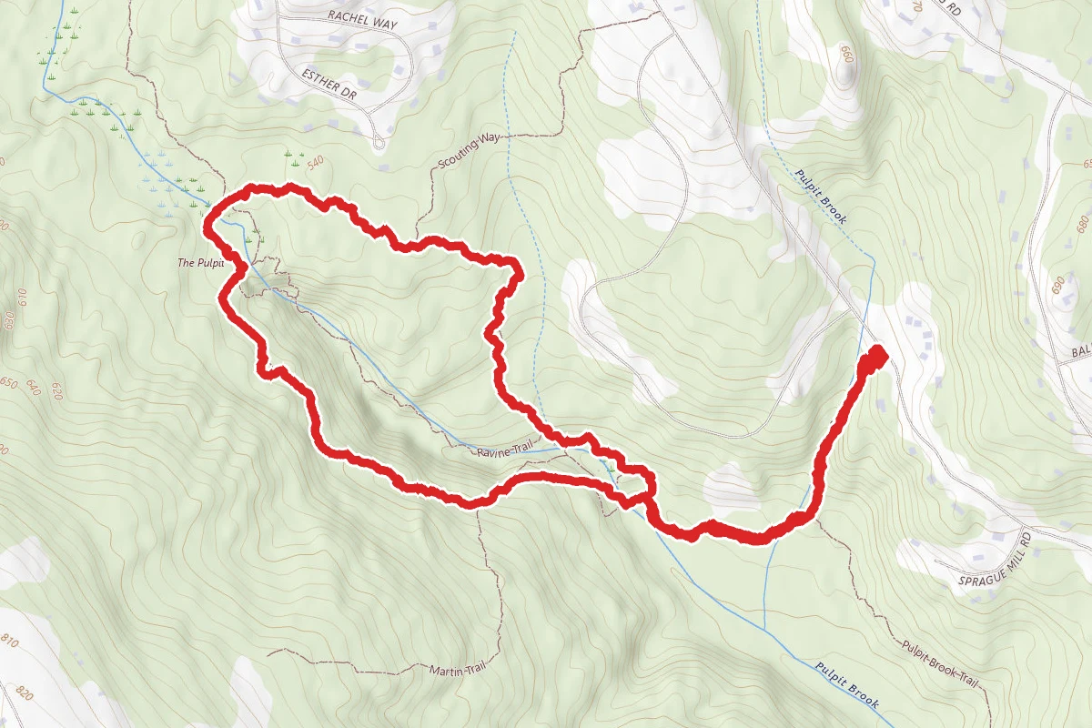 Campbell and Tufts Trail Loop via Gage's Mill Trail