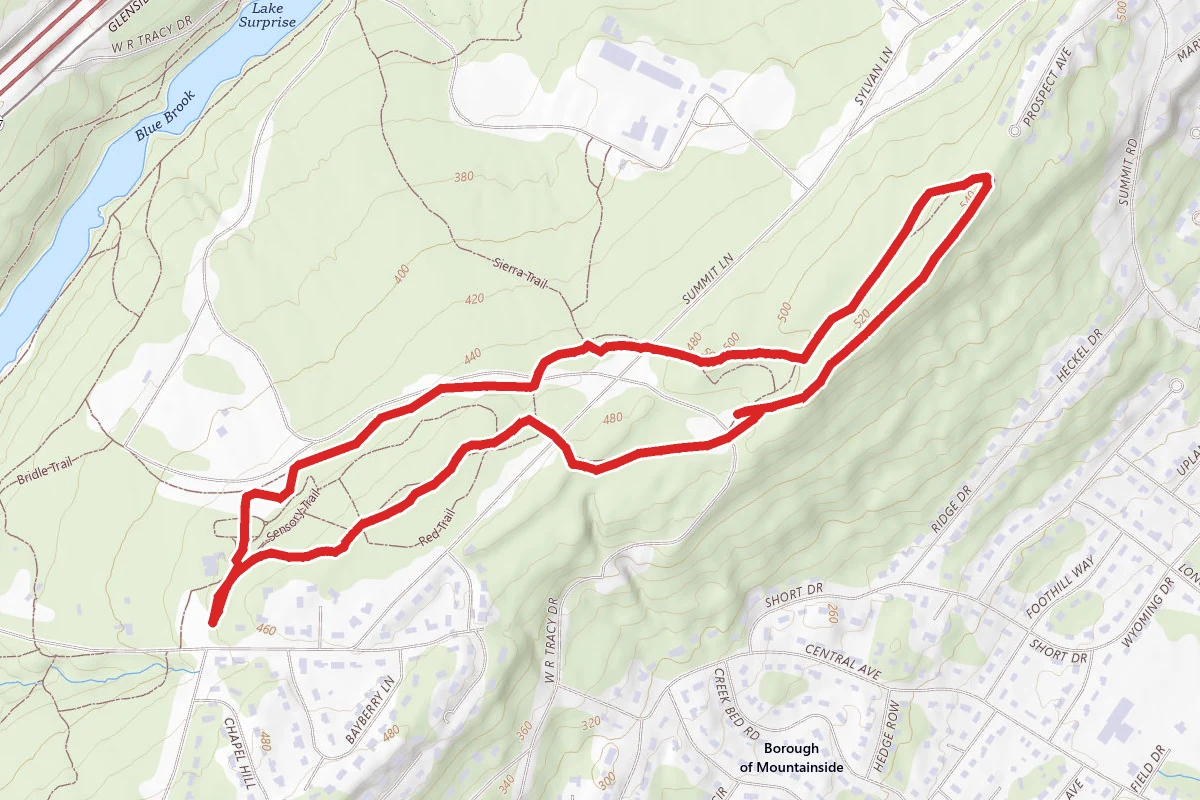 Watchung Reservation White Trail Loop