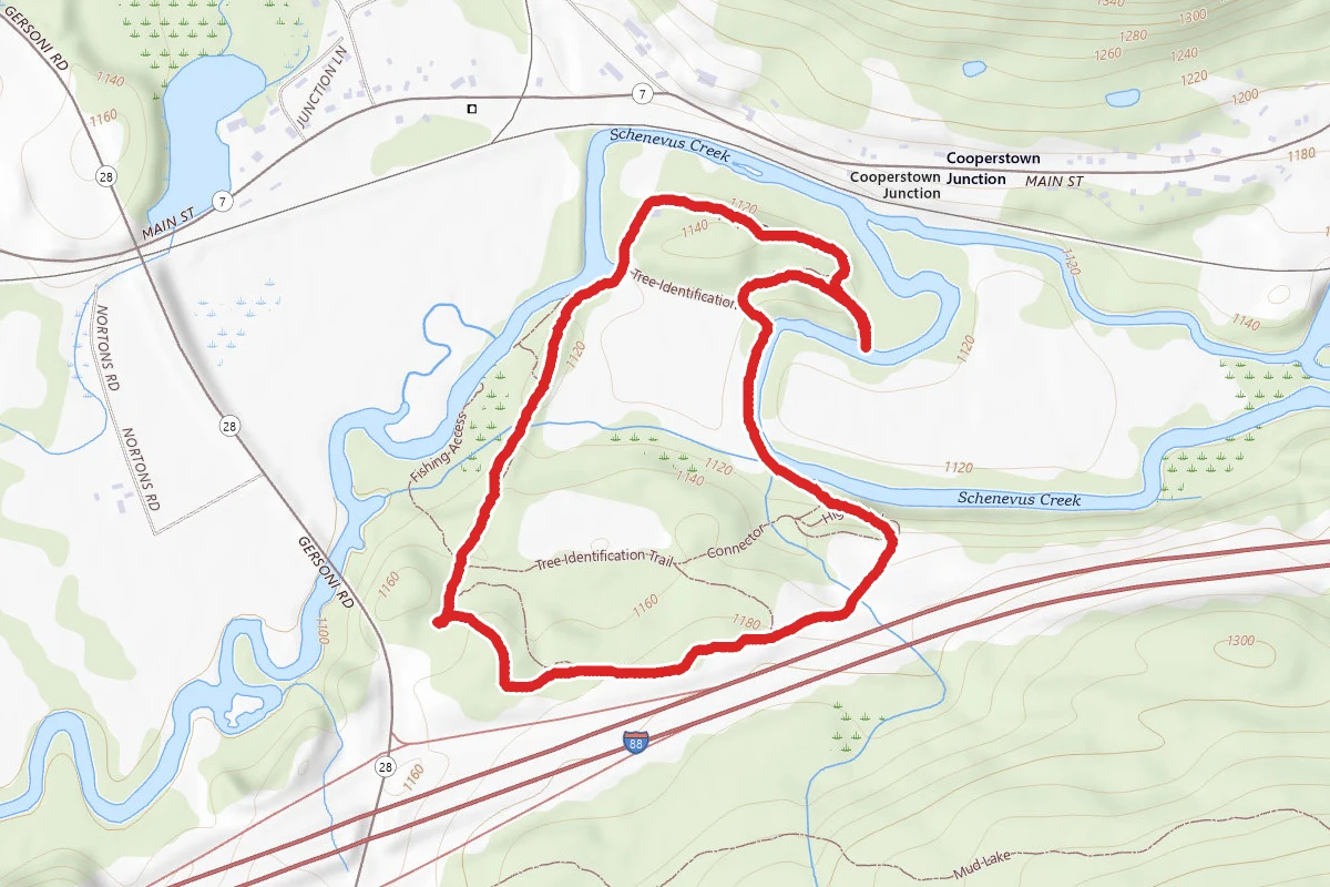 Tree Identification Trail