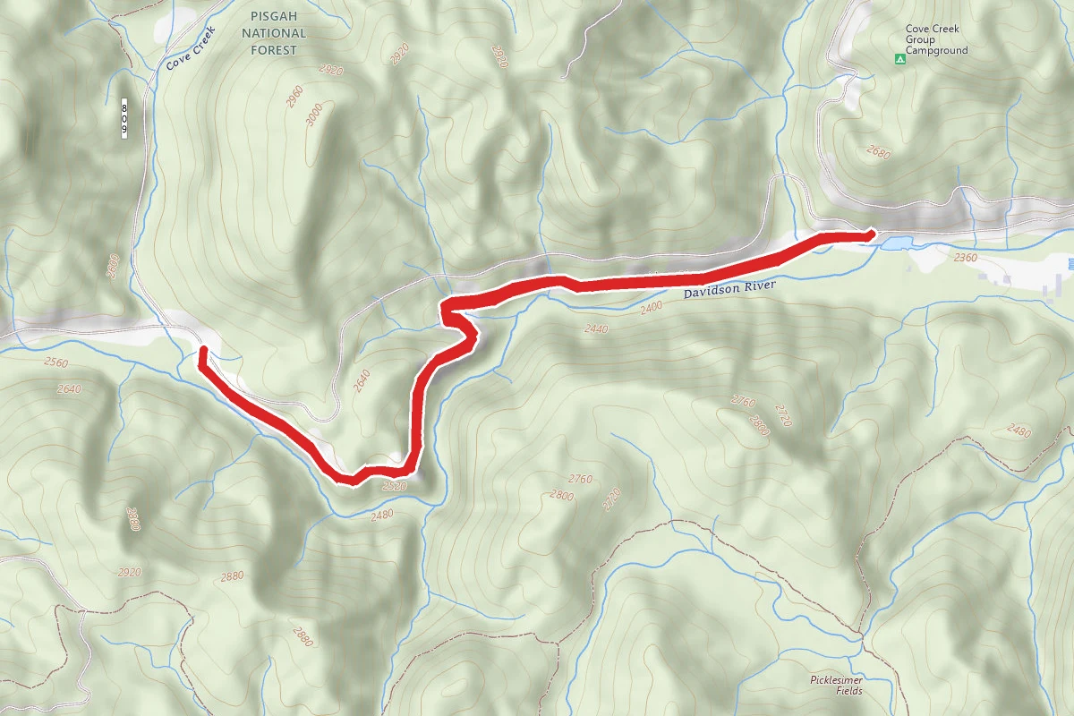 Davidson River Trail to Cove Creek