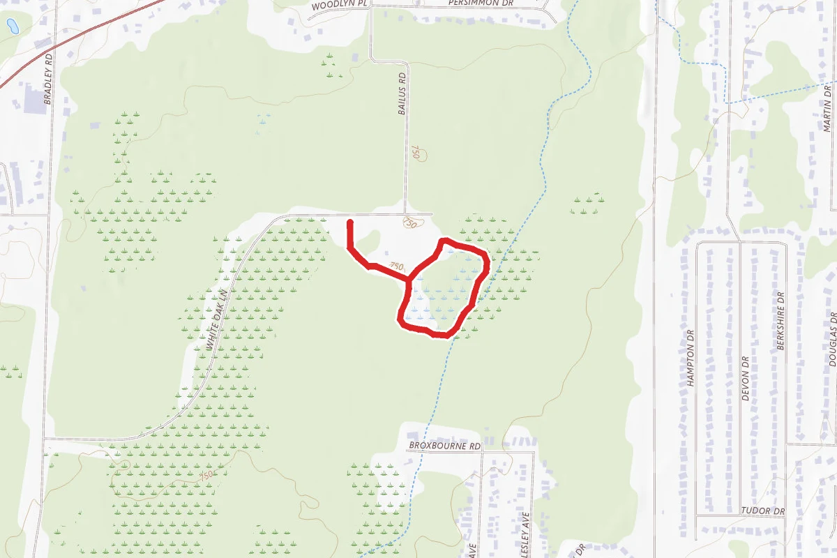 Bunns Lake Loop