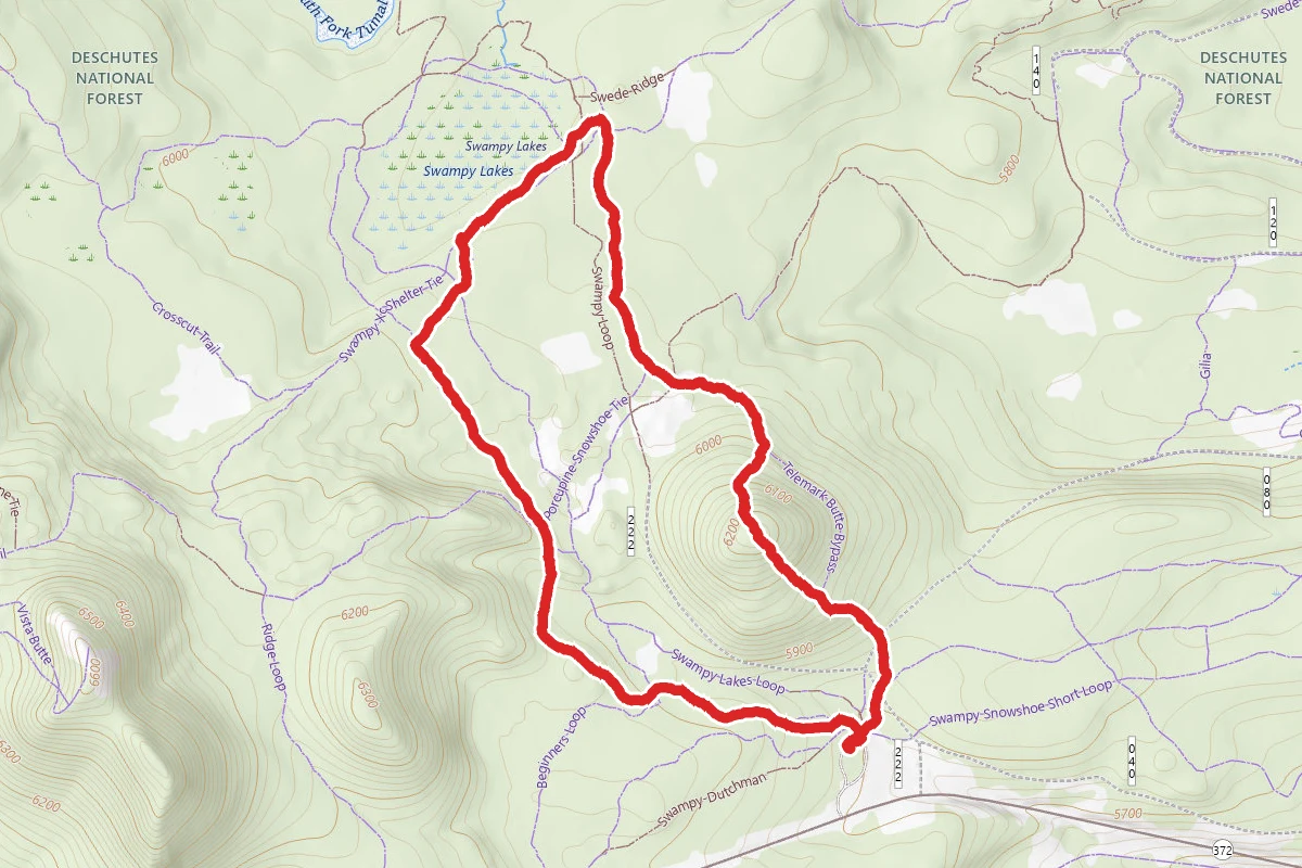 Swampy Lakes Loop