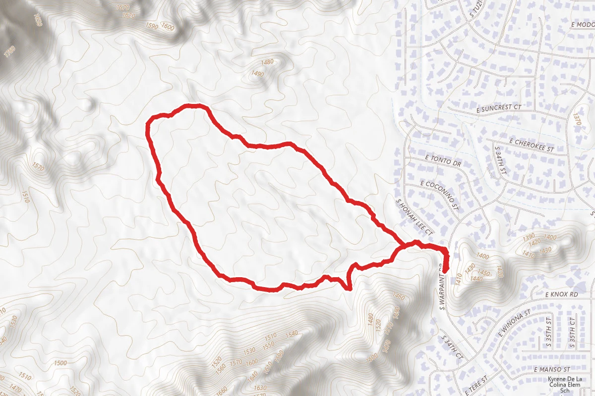 Warpaint Loop